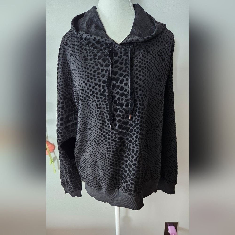 NWT Dex Flocked Velvet Hoodie Plus Size 2X
